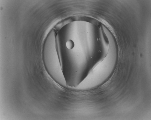 X0000071851384200607141739