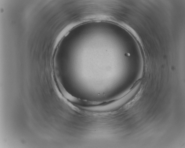 X0000071851389200607141739