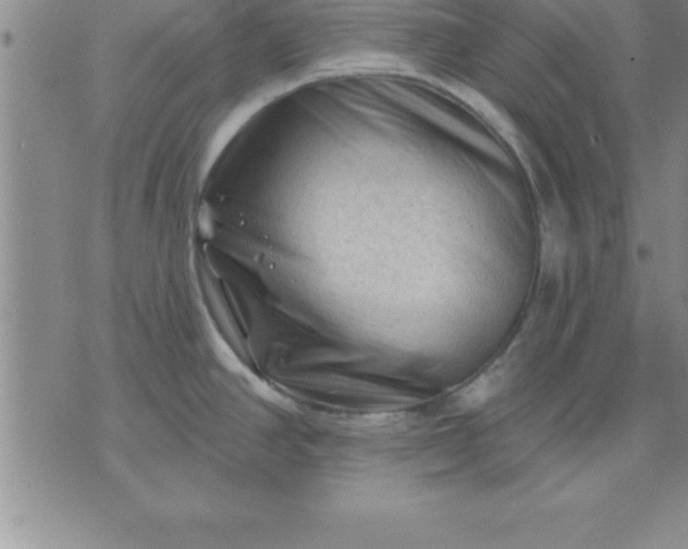 X0000071851390200607141739