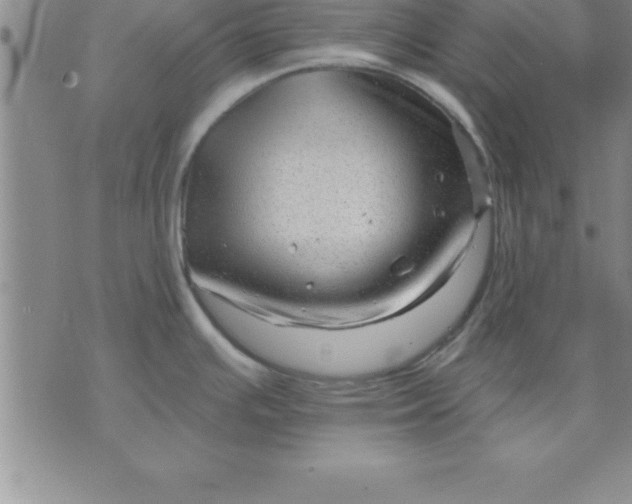 X0000071851391200607141739