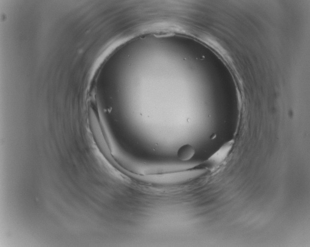 X0000071851392200607141739