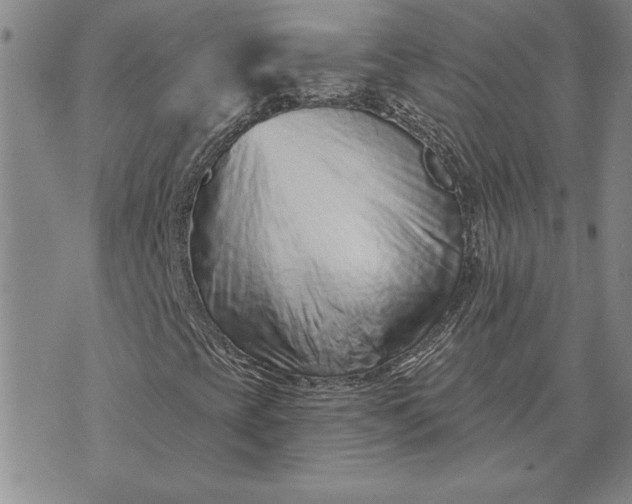 X0000071851393200607141738