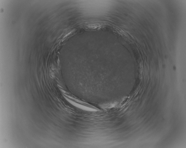 X0000071851394200607141738