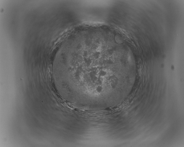 X0000071851397200607141738