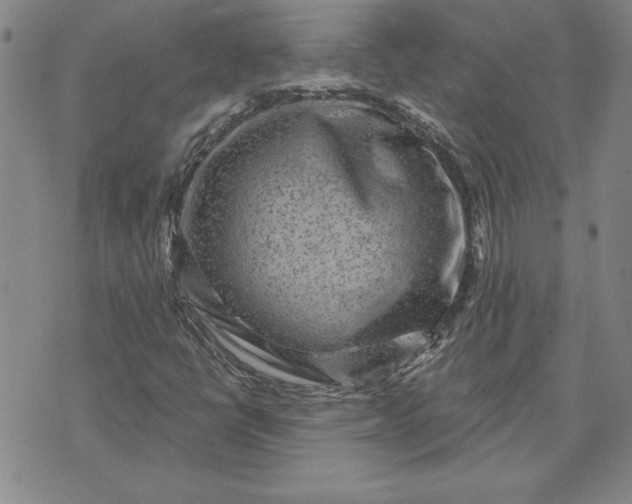 X0000071851398200607141738