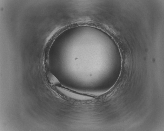 X0000071851400200607141738