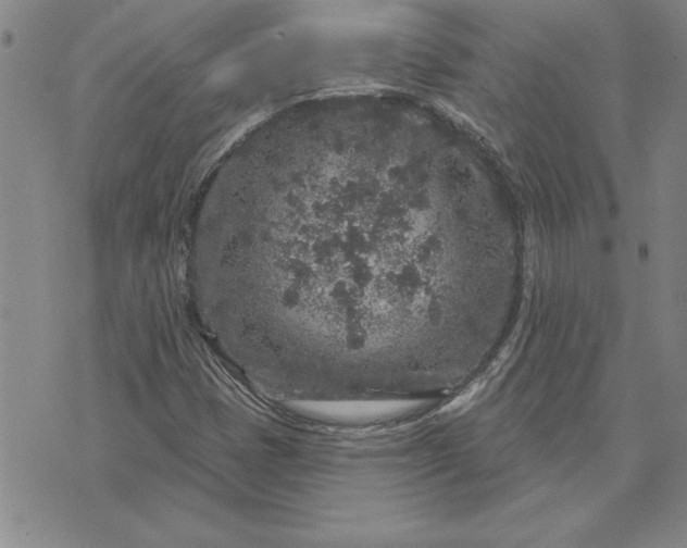 X0000071851401200607141738