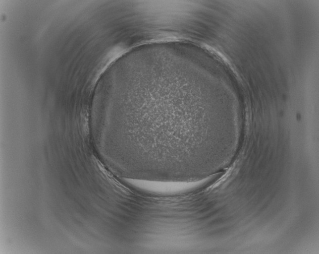 X0000071851409200607141739