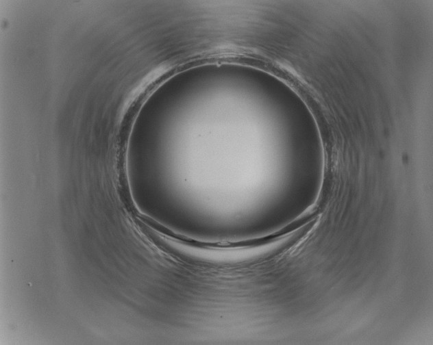 X0000071851410200607141739