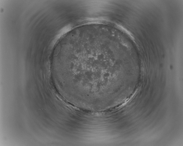 X0000071851411200607141739