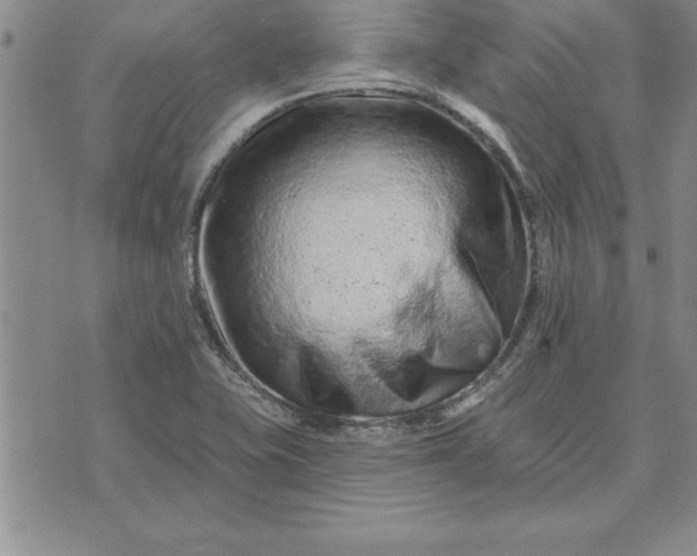 X0000071851415200607141739