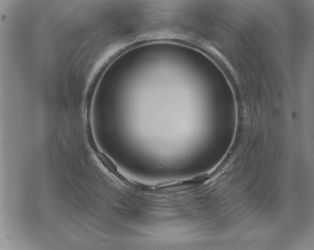 X0000071851416200607141739