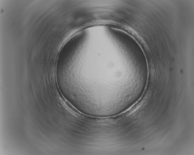 X0000071851417200607141739