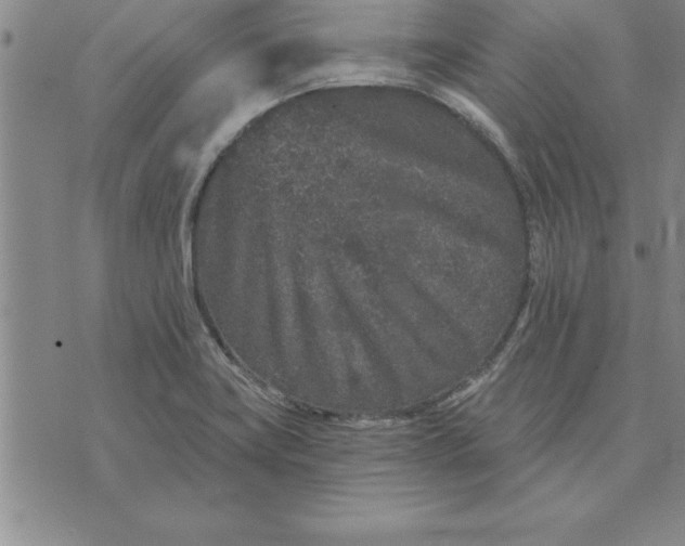 X0000071851419200607141739