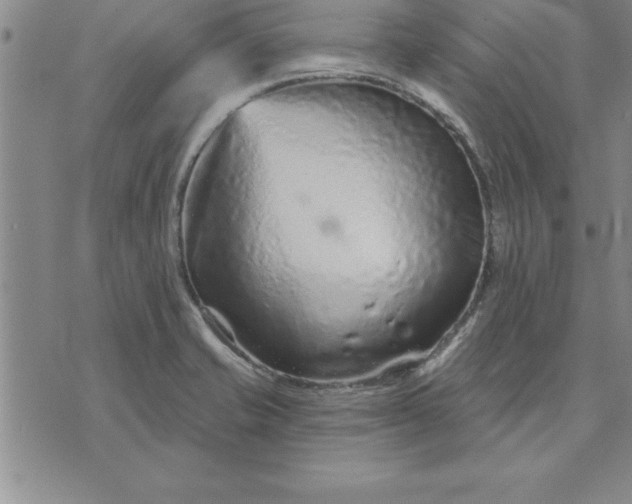 X0000071851421200607141739