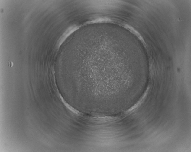 X0000071851425200607141739