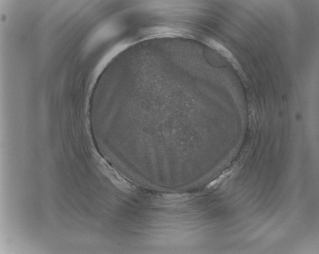 X0000071851427200607141739