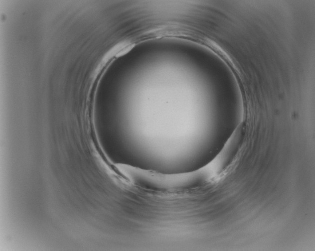 X0000071851434200607141739