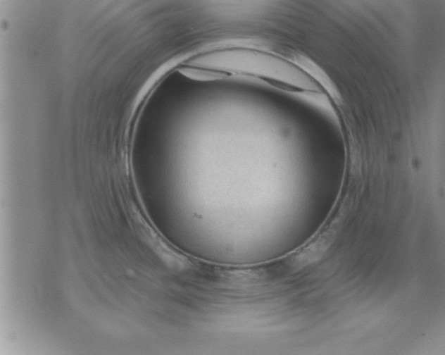 X0000071851436200607141739