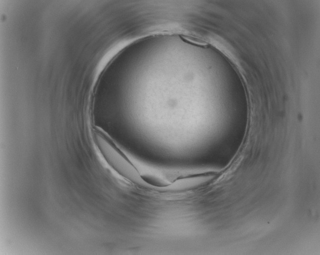 X0000071851440200607141739