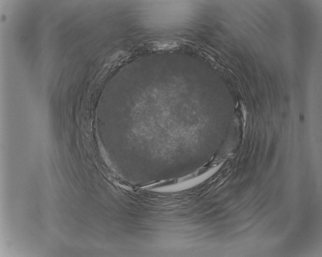 X0000071851441200607141738