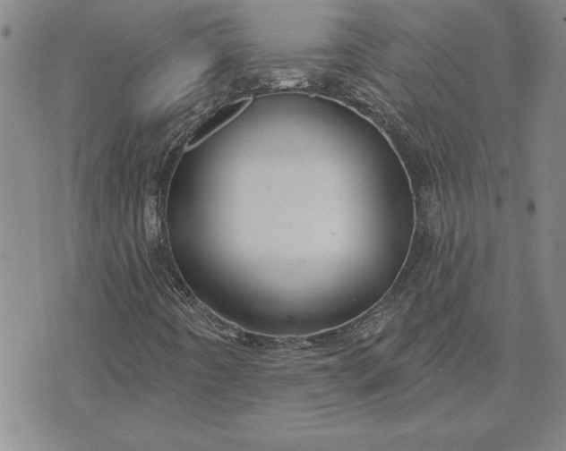 X0000071851442200607141738