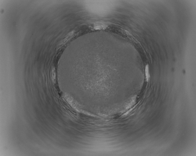 X0000071851443200607141738