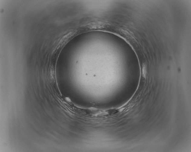 X0000071851444200607141738