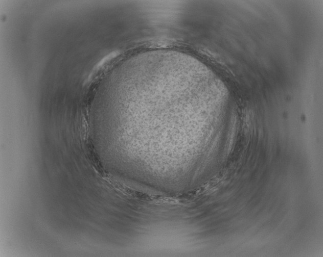 X0000071851446200607141738