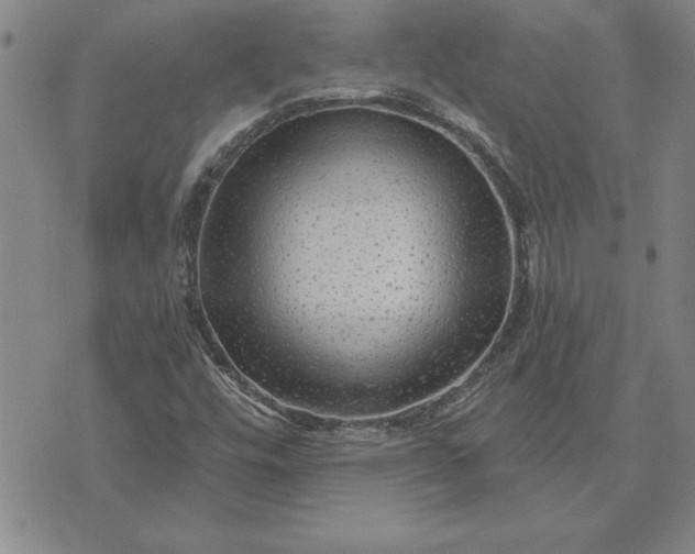 X0000071851448200607141738