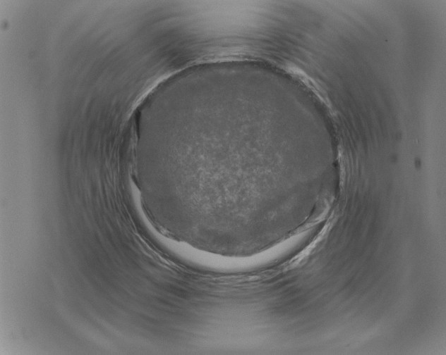 X0000071851449200607141738