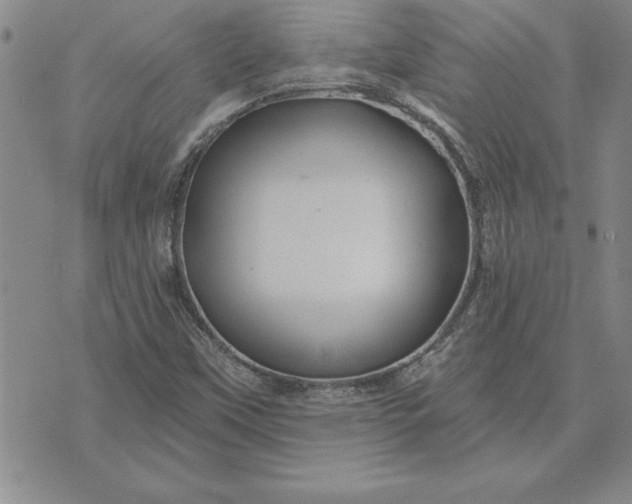 X0000071851451200607141738