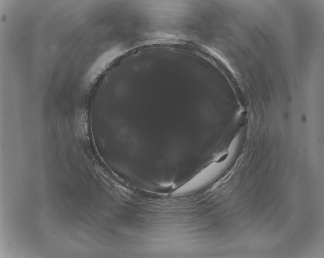 X0000071851455200607141738