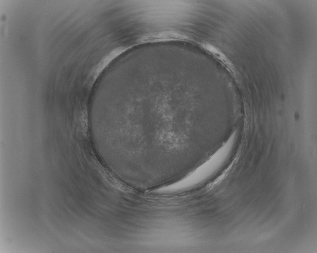 X0000071851457200607141738