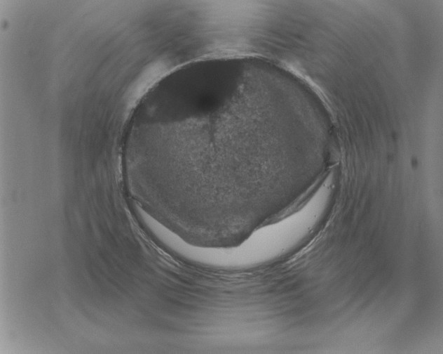 X0000071851459200607141738