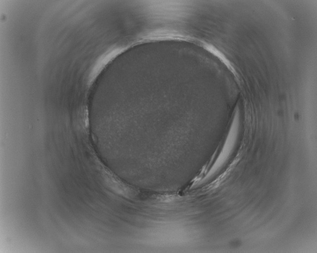 X0000071851461200607141738