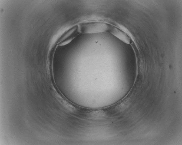 X0000071851464200607141738