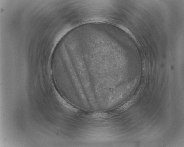 X0000071851466200607141738