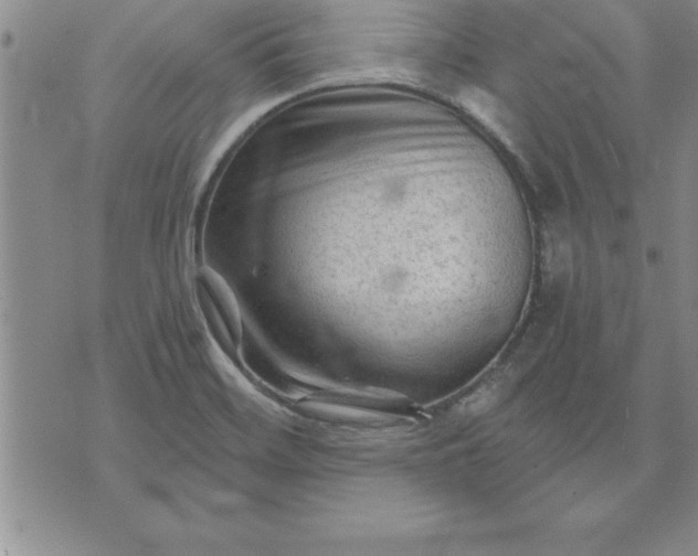 X0000071851468200607141738