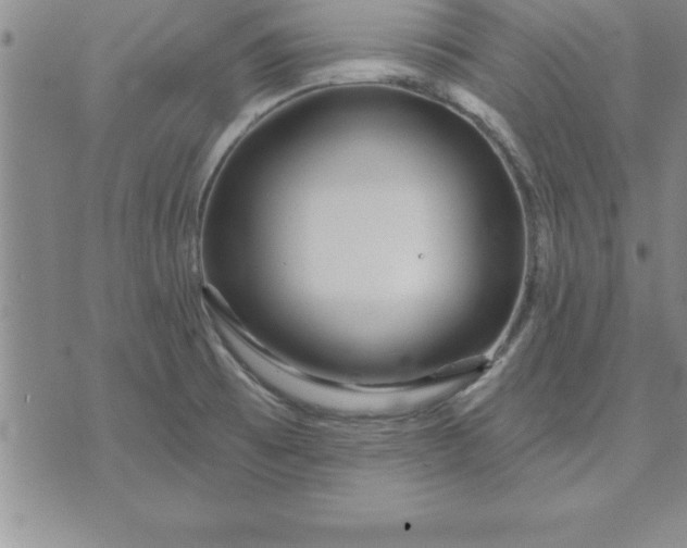 X0000071851473200607141738