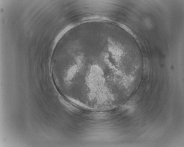 X0000071851474200607141738