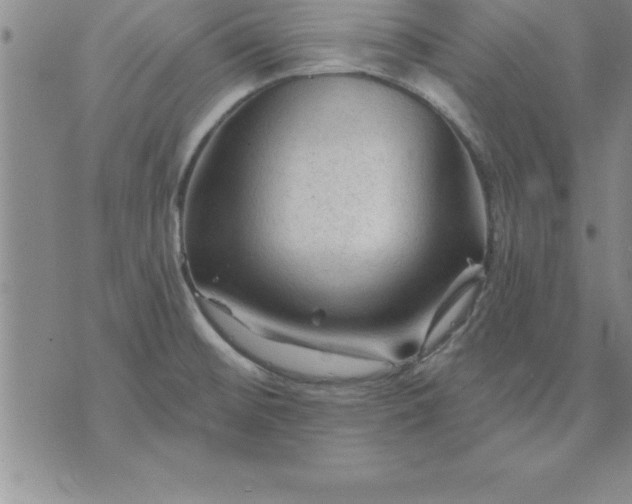 X0000071851476200607141738