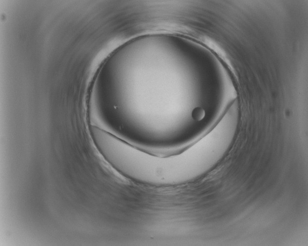 X0000071851480200607141738