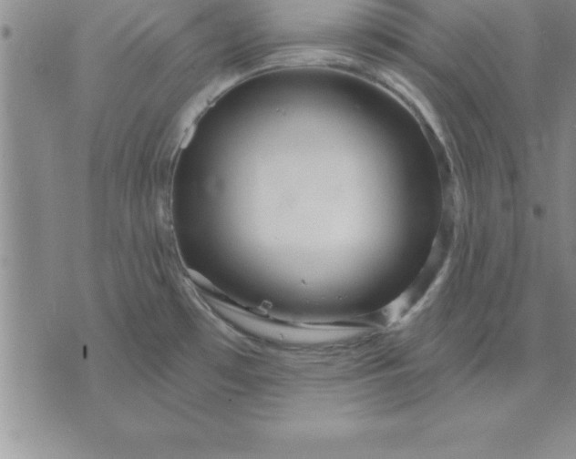 X0000071851481200607141738