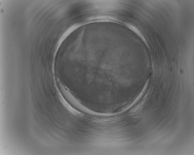 X0000071851482200607141738