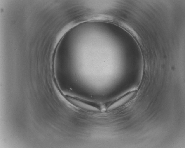 X0000071851483200607141738