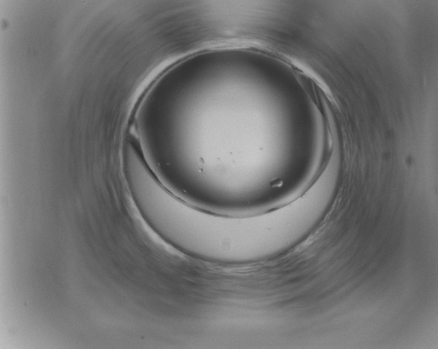 X0000071851484200607141738