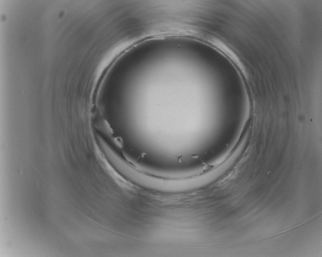 X0000071851485200607141738