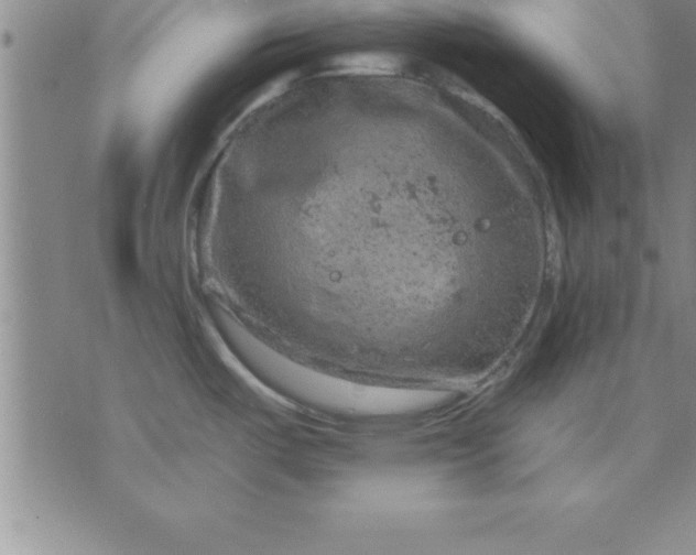 X0000071851487200607141738