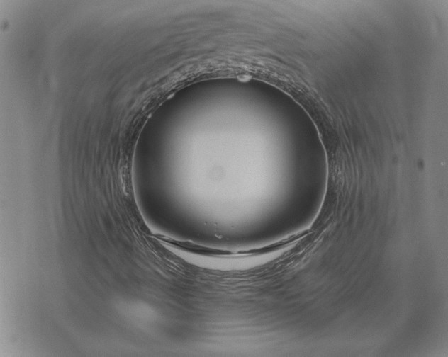 X0000071851490200607141737